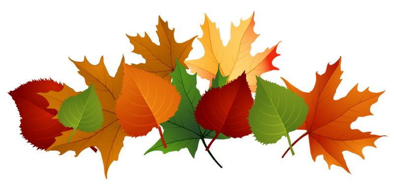 Fall_Leaves_PNG_Picture.png