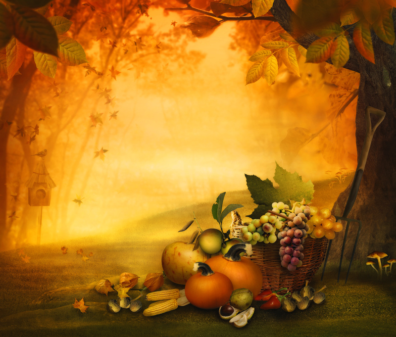 Fall_Thanksgiving_Background.jpg