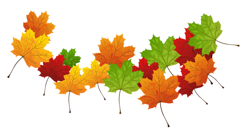 Fall_Transparent_Leaves.png