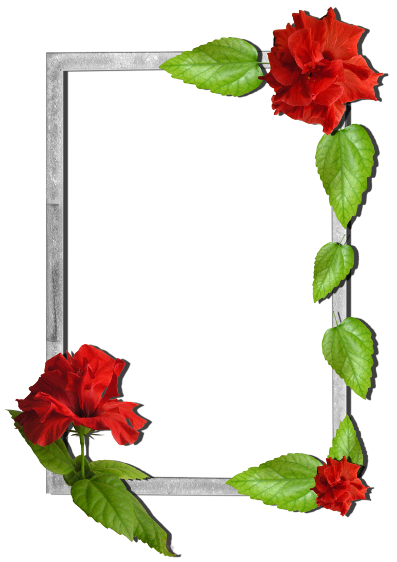 Flowers_frame-7.png