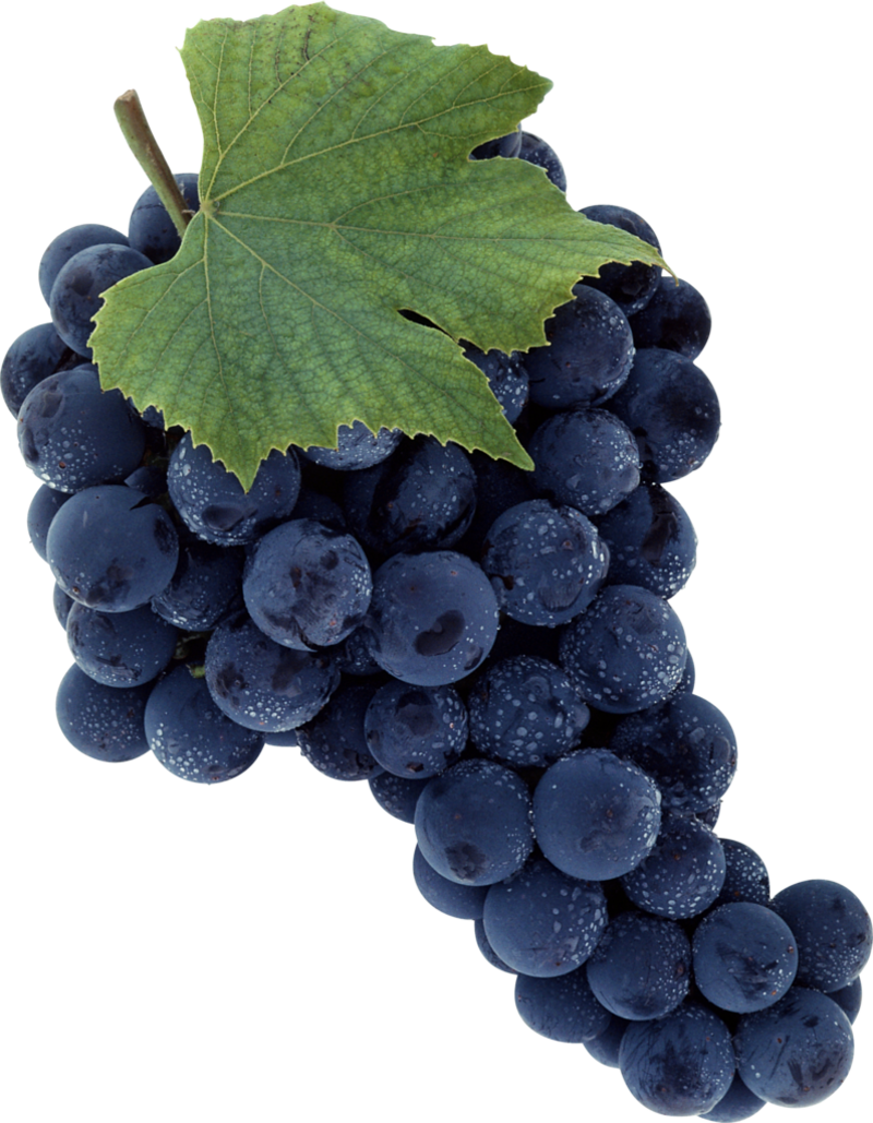 Fruit-Clipart-Purple-Grapes.png