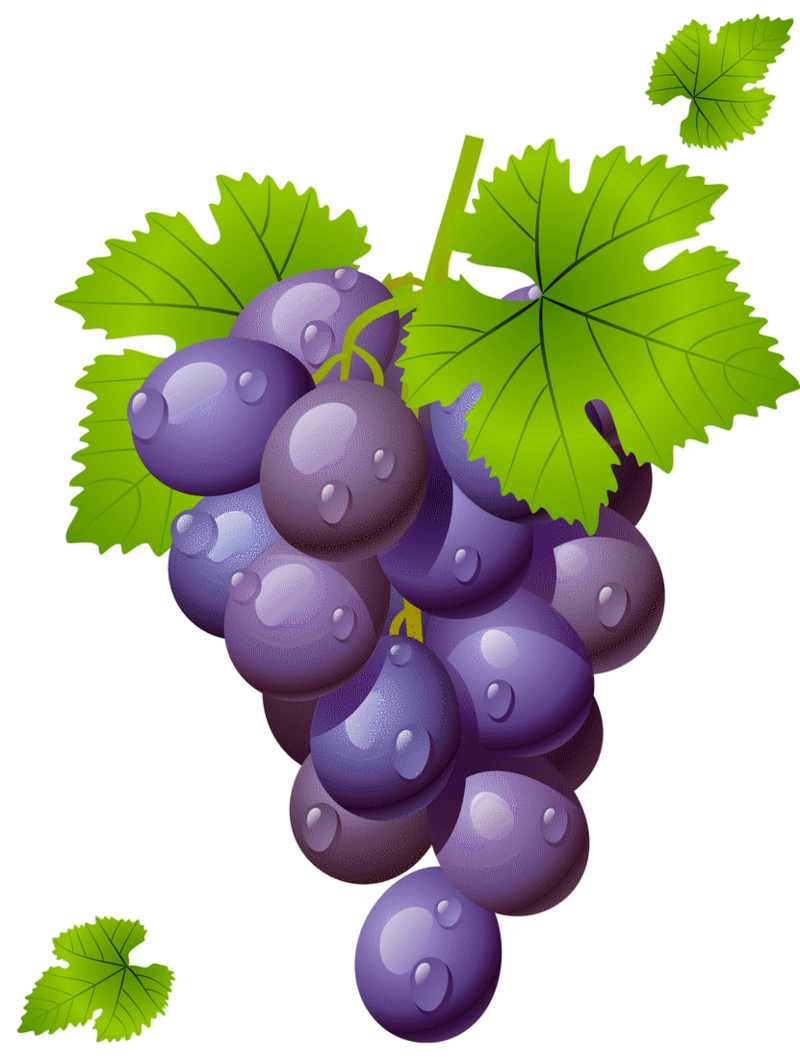 Grape_with-Leaves_PNG_Clipart_Picture.png