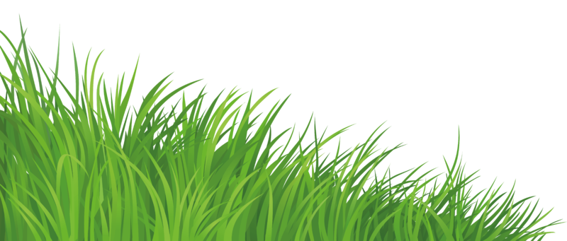Grass_Element_PNG_Clipart_Picture.png