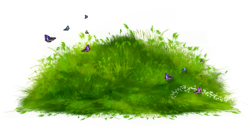 Grass_Path_Ground_PNG_Clipart.png