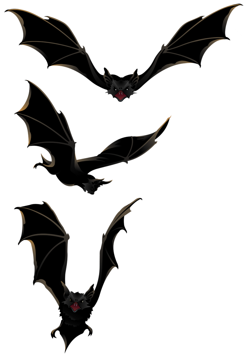 Halloween_PNG_Bats_Clipart.png