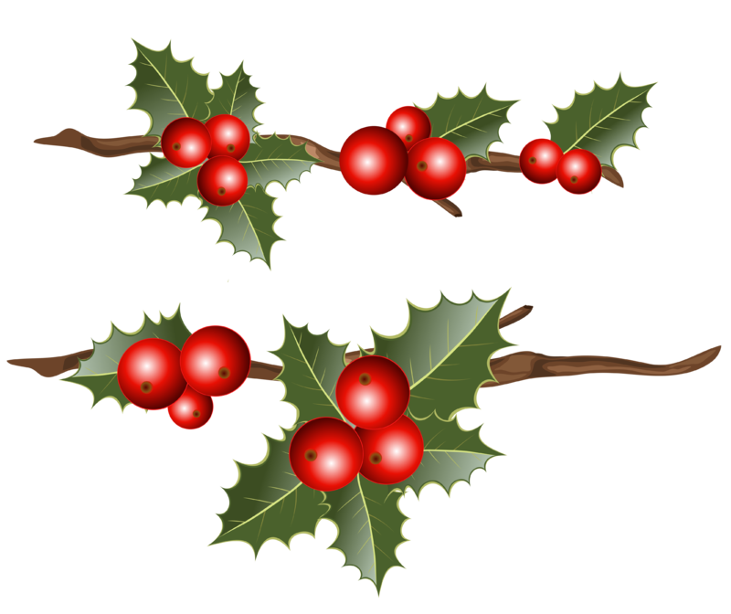 Holly_Branches_PNG_Clipart_Image.png