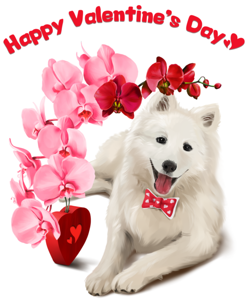 Japanese-Spitz.png