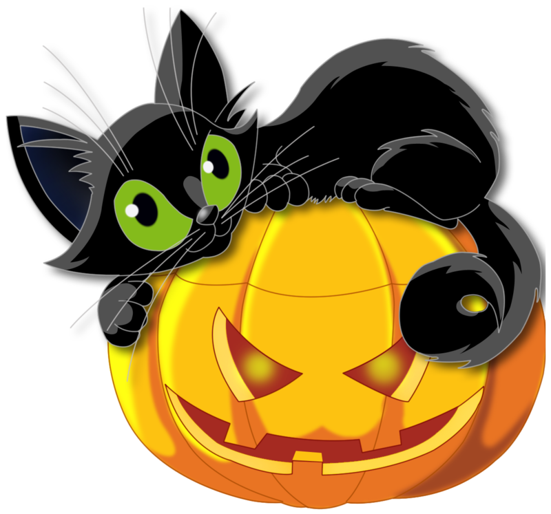 Large_Transparent_Halloween_Pumpkin_with_Black_Cat_Clipart.png