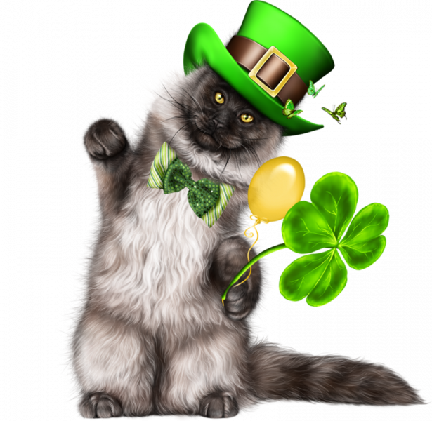 Leprechaun-Cat-With-Beer-04