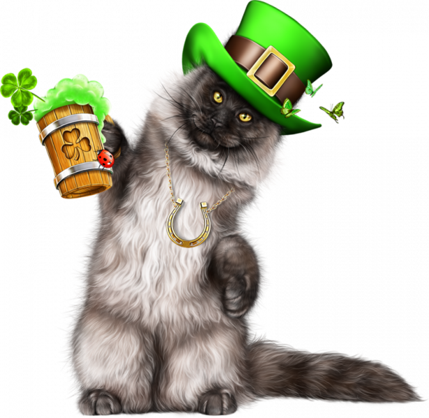 Leprechaun-Cat-With-Beer-07