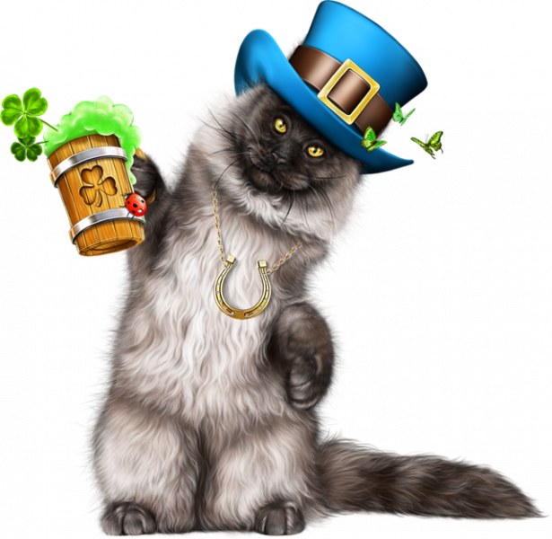 Leprechaun-Cat-With-Beer-15