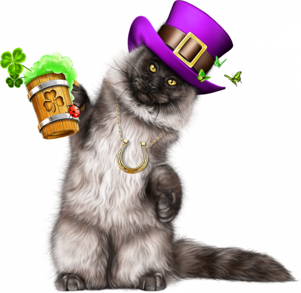 Leprechaun-Cat-With-Beer-23