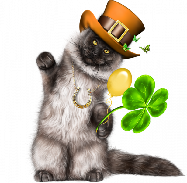 Leprechaun-Cat-With-Beer-40