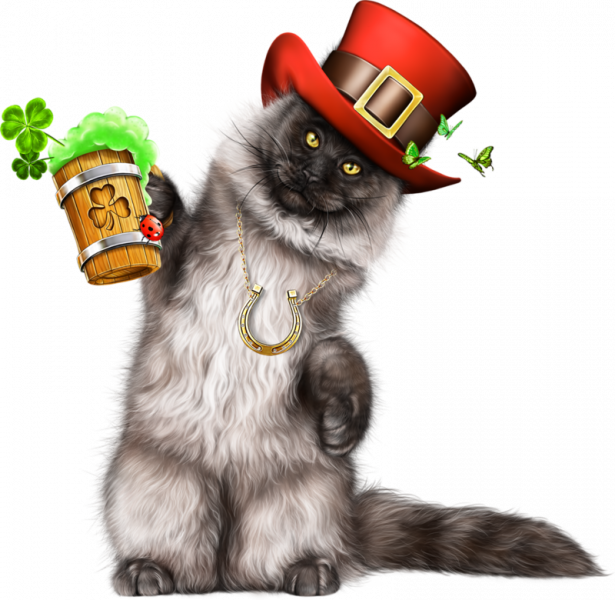 Leprechaun-Cat-With-Beer-47