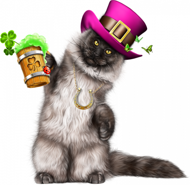 Leprechaun-Cat-With-Beer-55