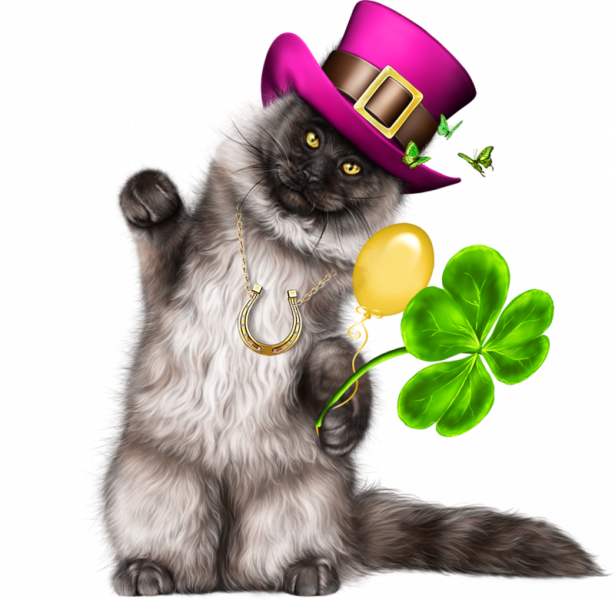 Leprechaun-Cat-With-Beer-56