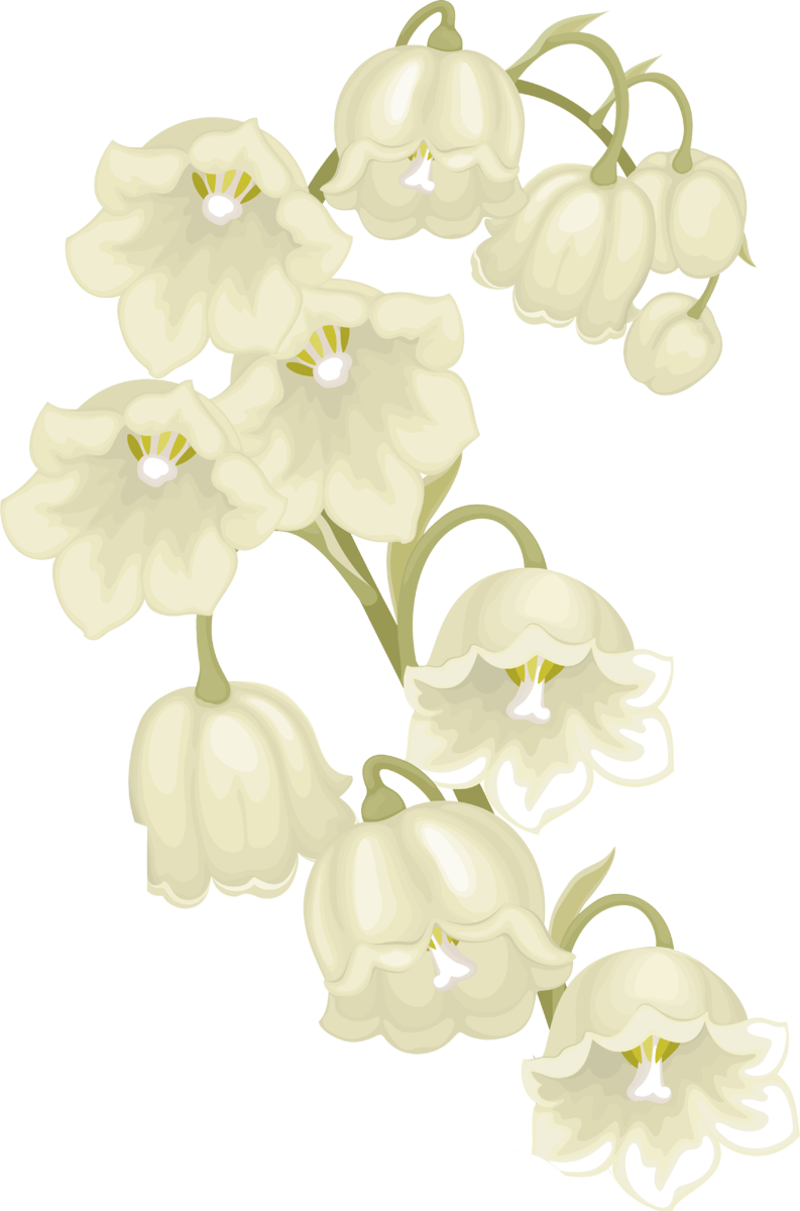 Lilies-of-the-Valley_025.png