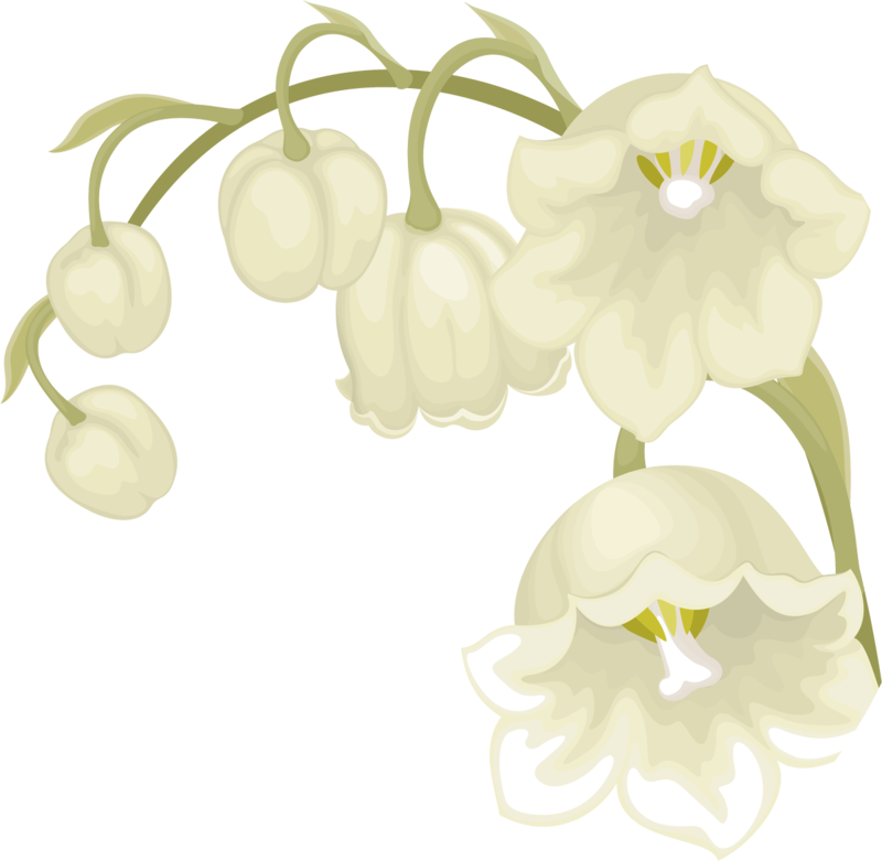Lilies-of-the-Valley_026.png