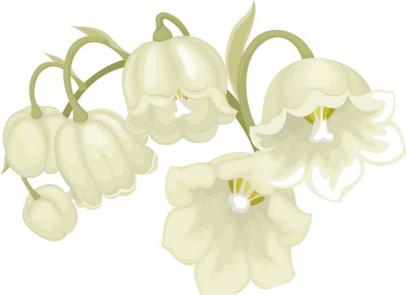 Lilies-of-the-Valley_027.png