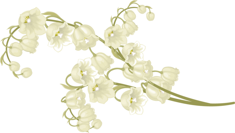 Lilies-of-the-Valley_073.png