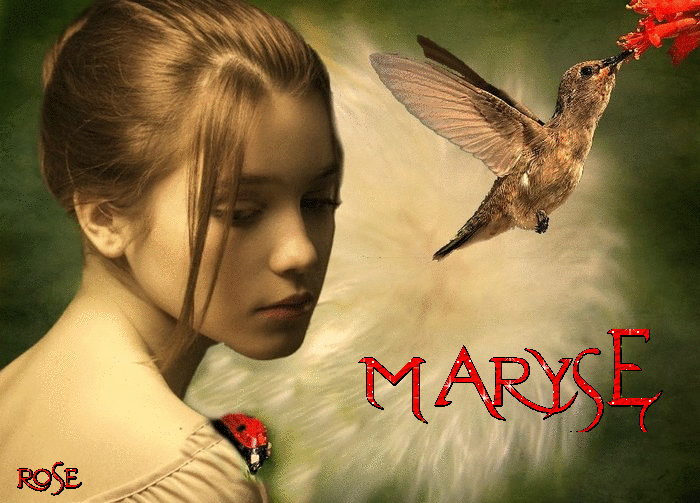 MARYSE_1.gif
