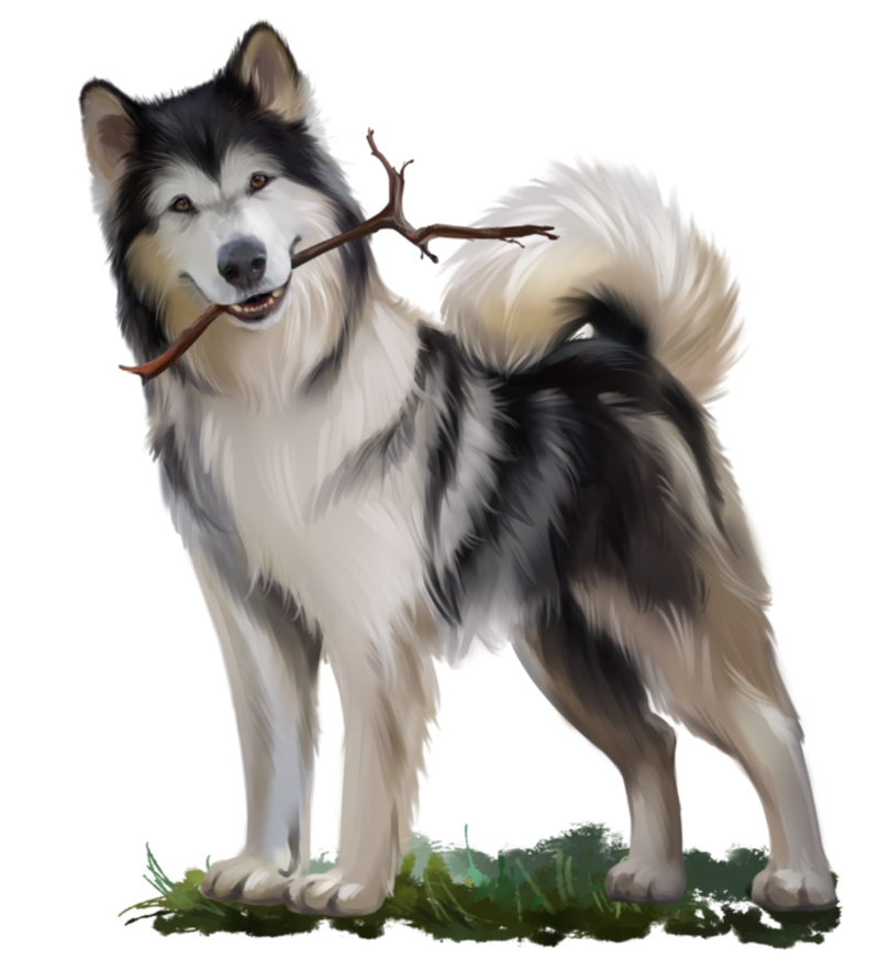 Malamute_5.png