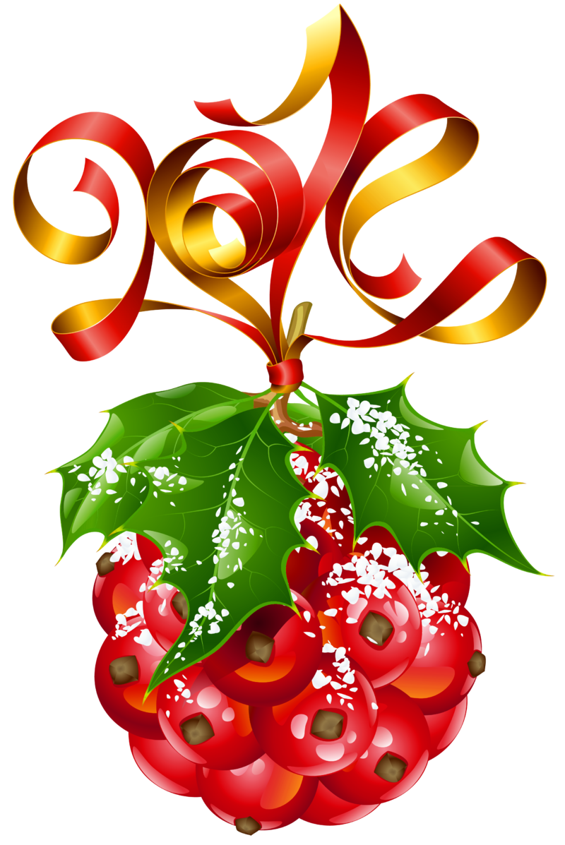 Mistletoe_Christmas_Ornament_PNG_Picture.png