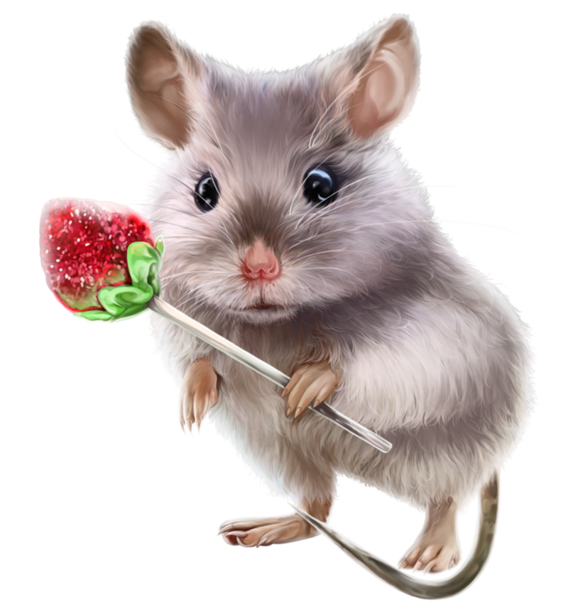Mouse-32.png