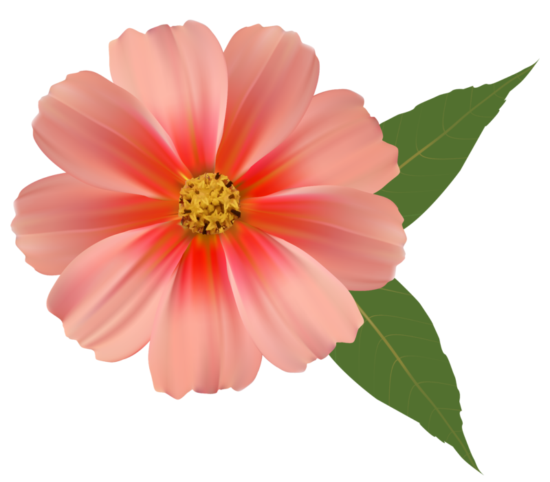 Orange_Flower_PNG_Image_Clipart.png