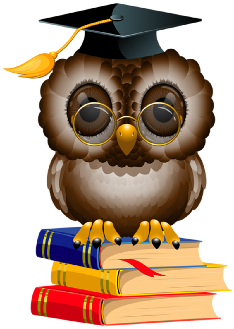 Owl_with_School_Books_and_Cap_PNG_Clipart_Image.png