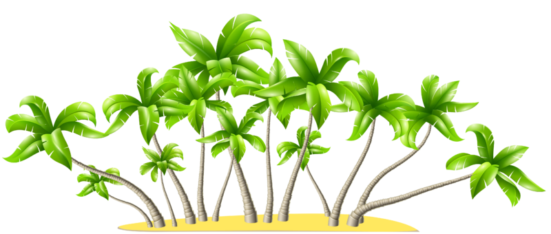 Palm_Trees_PNG_Clipart.png