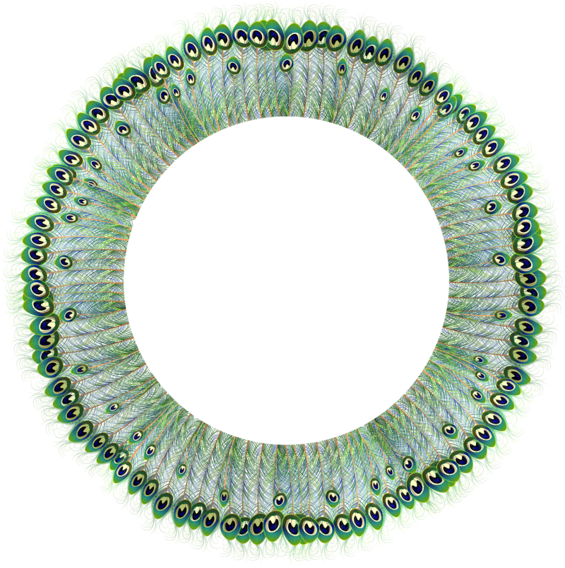 Peacock_Round_Frame_Transparent_PNG_Clip_Art.png