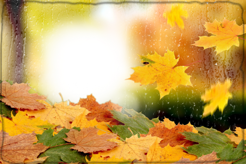 Photo-Frame-Autumn-Leaf.png