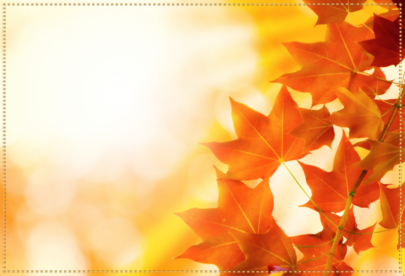 Photo-Frame-Golden-Autumn.png