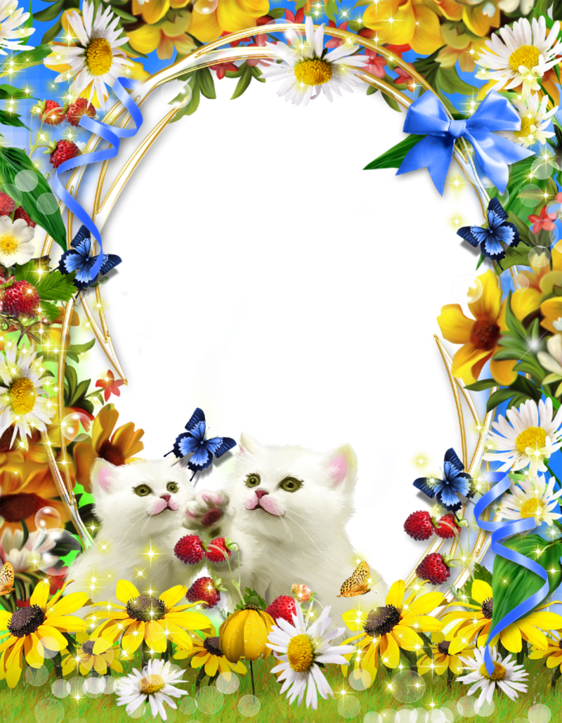 Photo-Frame-White-Kittens.png