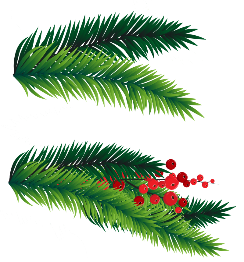 Pine_Branches_Decoration_PNG_Picture.png