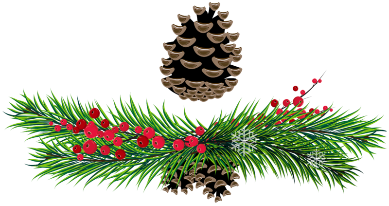 Pine_Branches_and_Pine_Cones_PNG_Picture.png