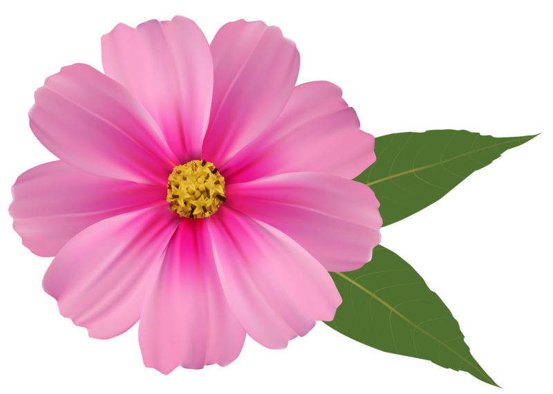 Pink_Flower_PNG_Image_Clipart.png