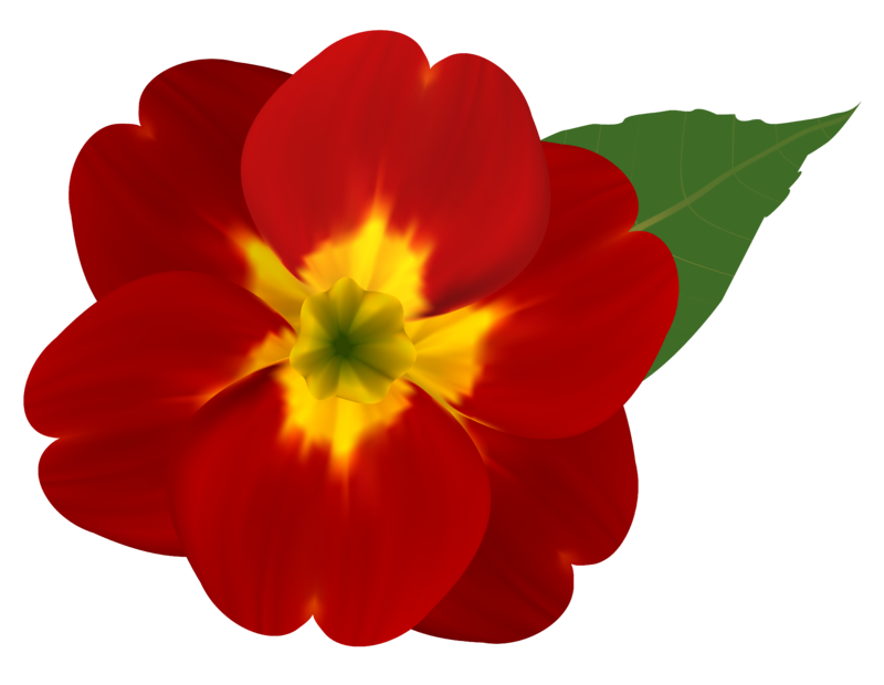 Red_and_Yellow_Flower_PNG_Clipart_Image.png