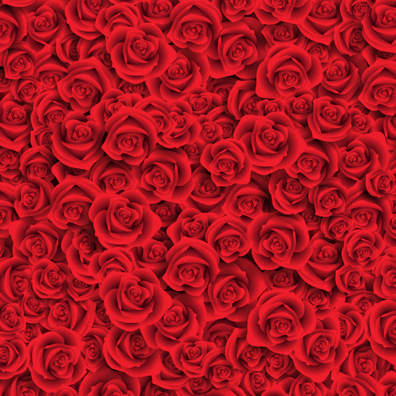 Rose_Red_Background.jpg