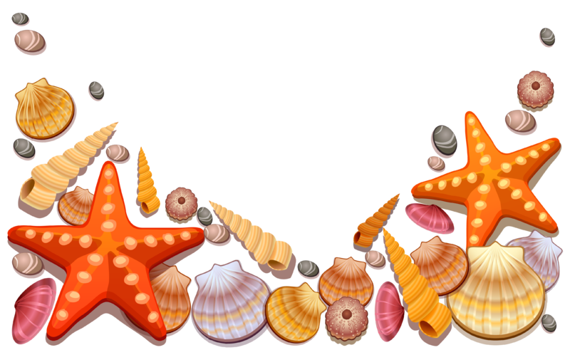 Sea_Shells_Decor_PNG_Vector_Clipart.png