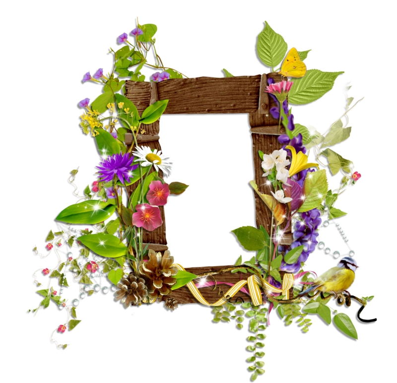 Shining_Transparent_Frame_with_Wild_Flowers_and_Moon.png