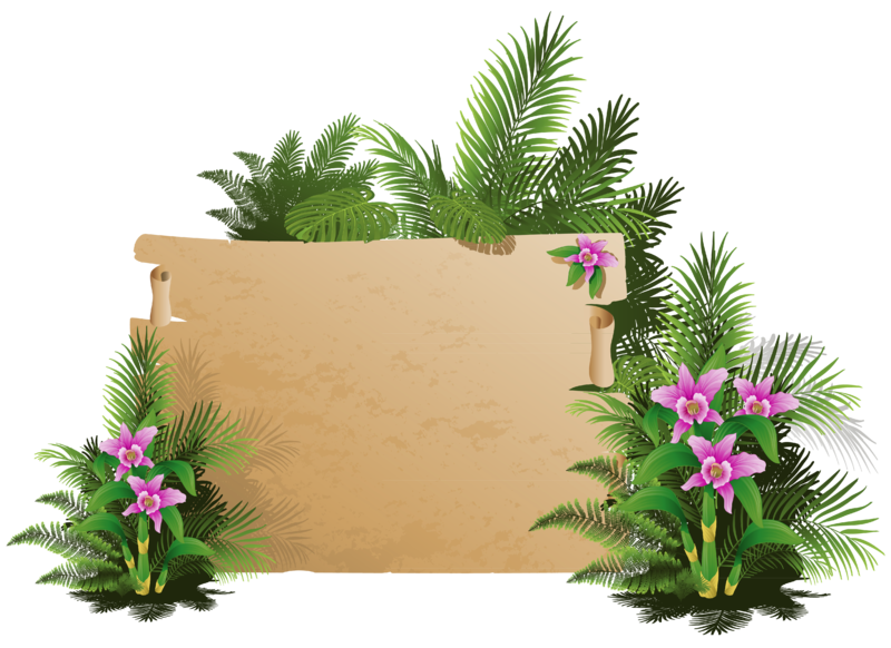 Summer_Exotic_Board_PNG_Clipart.png