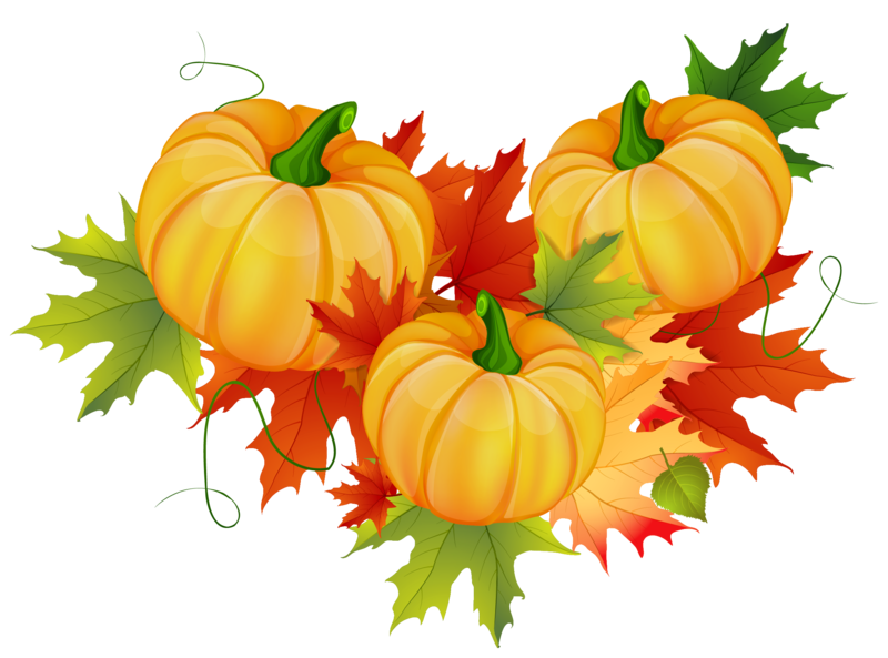 Thanksgiving_Pumpkin_Decoration_PNG_Clipart.png