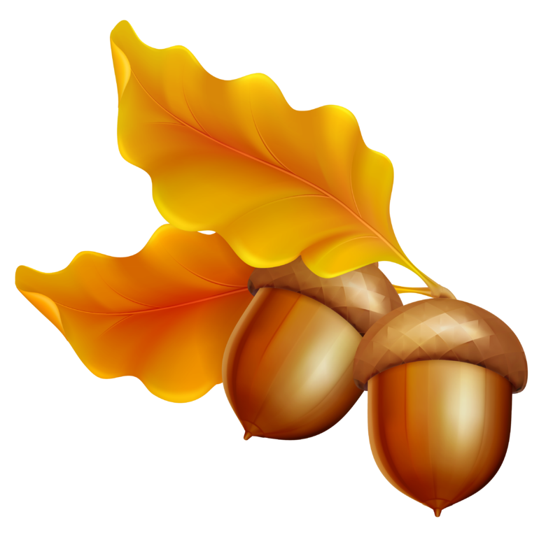 Transparent_Autumn_Leaves_with_Acorns.png