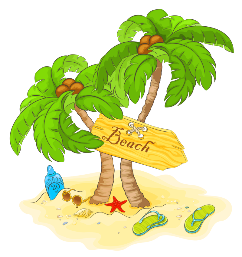 Transparent_Beach_Palm_Decor_PNG_Clipart.png