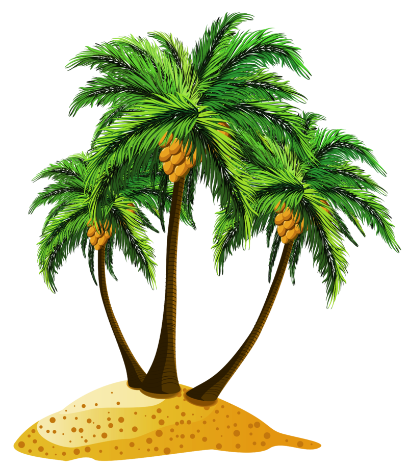 Transparent_Beach_Palms_Decor_PNG_Clipart.png