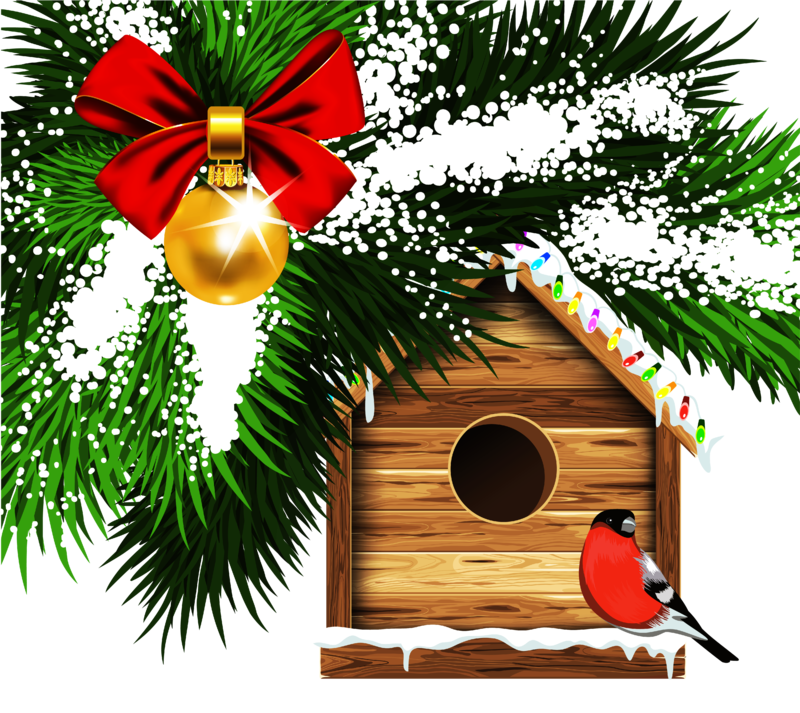 Transparent_Christmas_Bird_House_PNG_Clipart.png