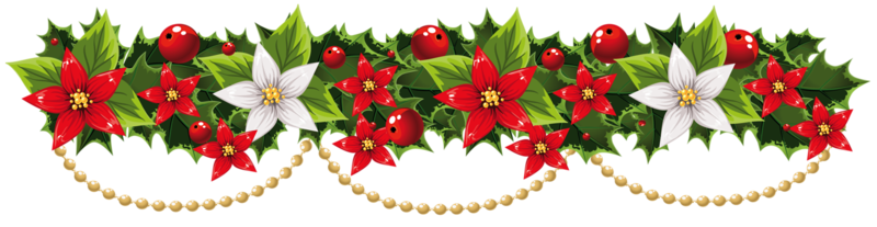 Transparent_Christmas_Mistletoe_Garland_with_Pearls_PNG_Clipart.png