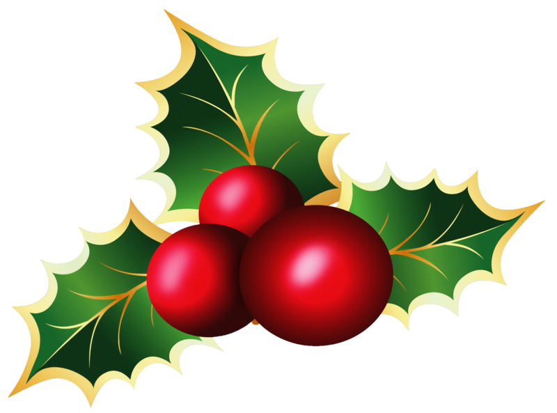 Transparent_Christmas_Mistletoe_PNG_Picture.png